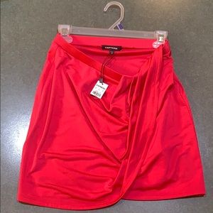 Express Satin Mini Skirt